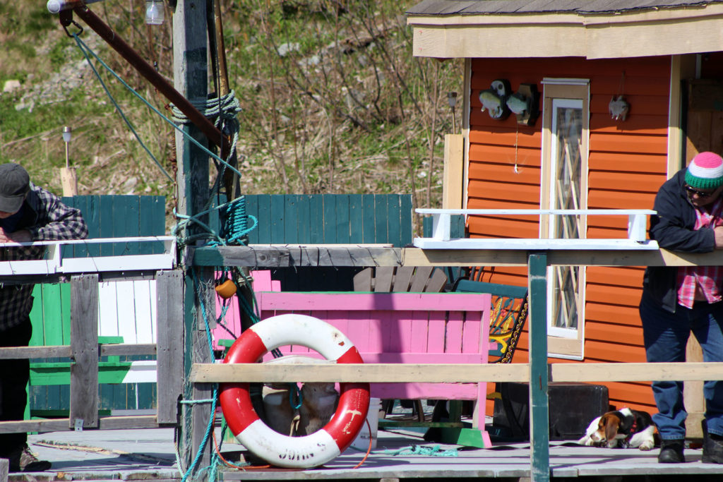 “… beer at the Quidi Vidi Brewery was really cold,”