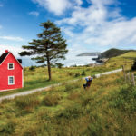 tors cove irish loop ferryland