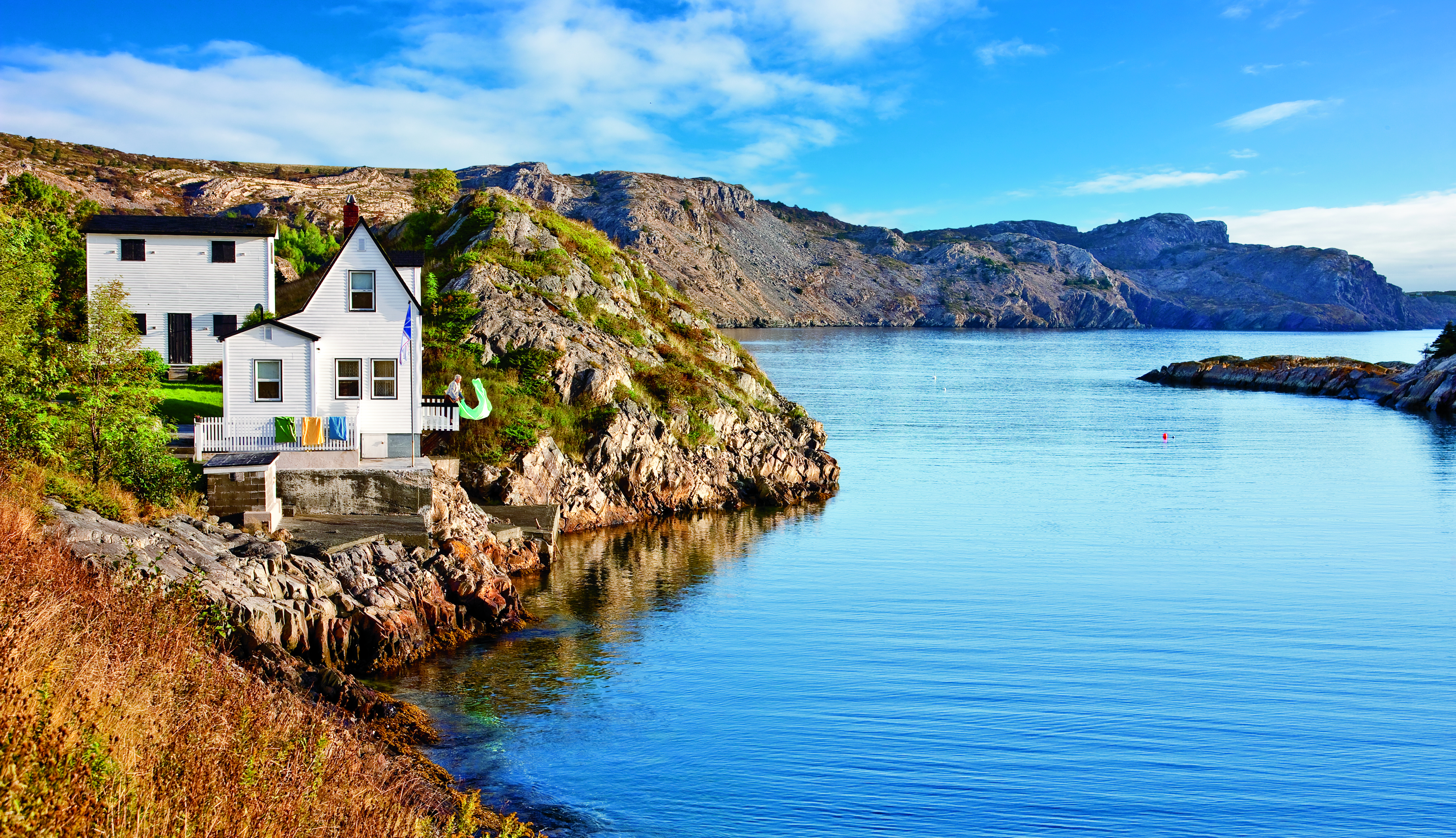 brigus tour mccarthys coastal around the bay