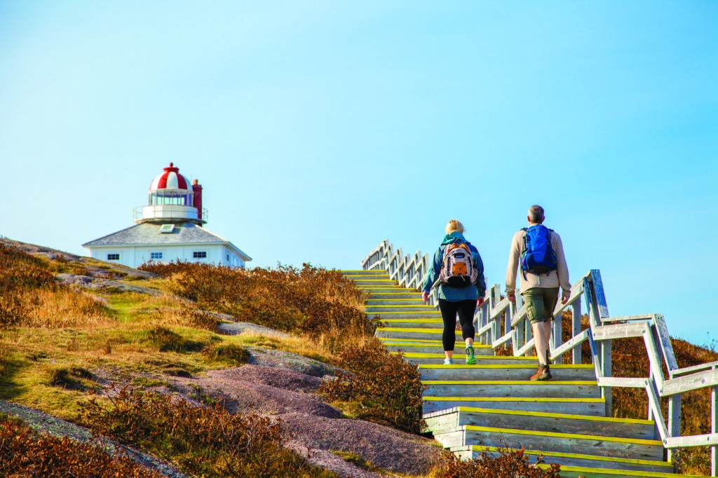 cape spear mccarthys tours local lighthouse