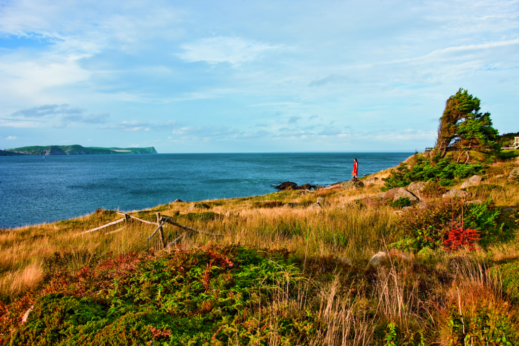 East Coast Trails Black Head Avalon