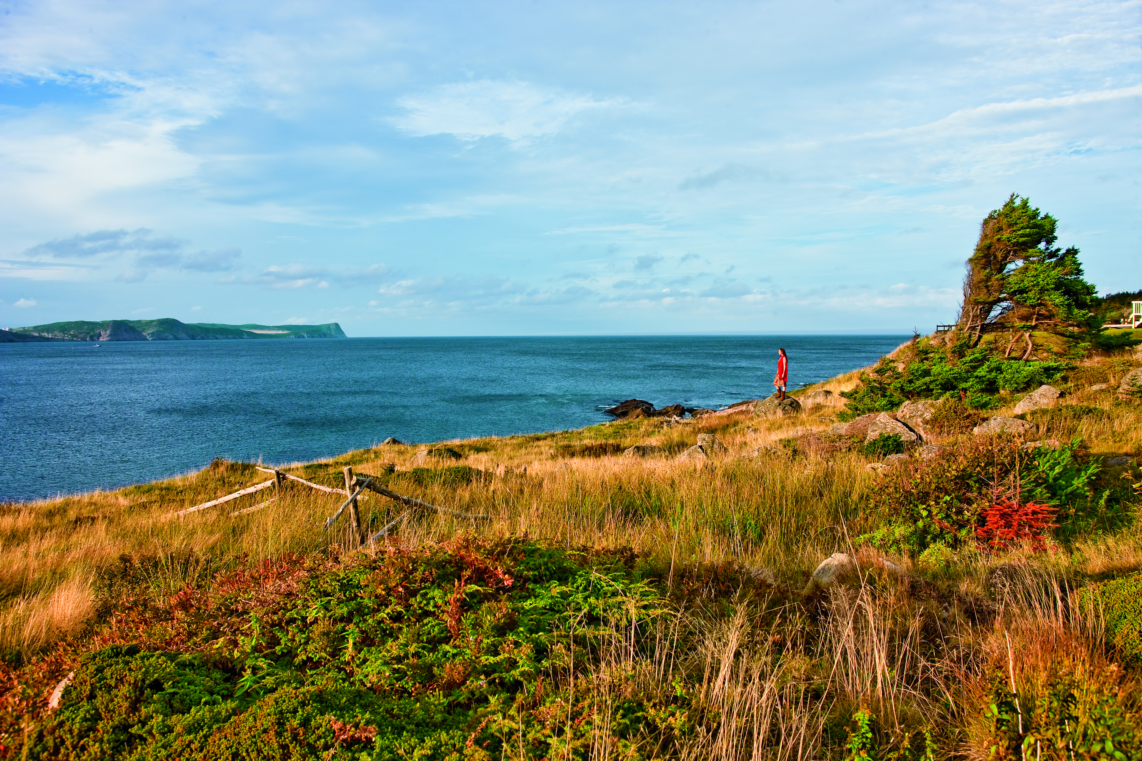 East Coast Trails Black Head Avalon