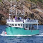 Obriens-boat-tours