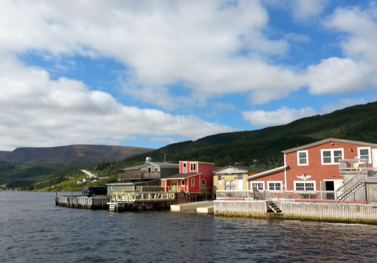 Newfoundland and Labrador Guided Tours and Experiences